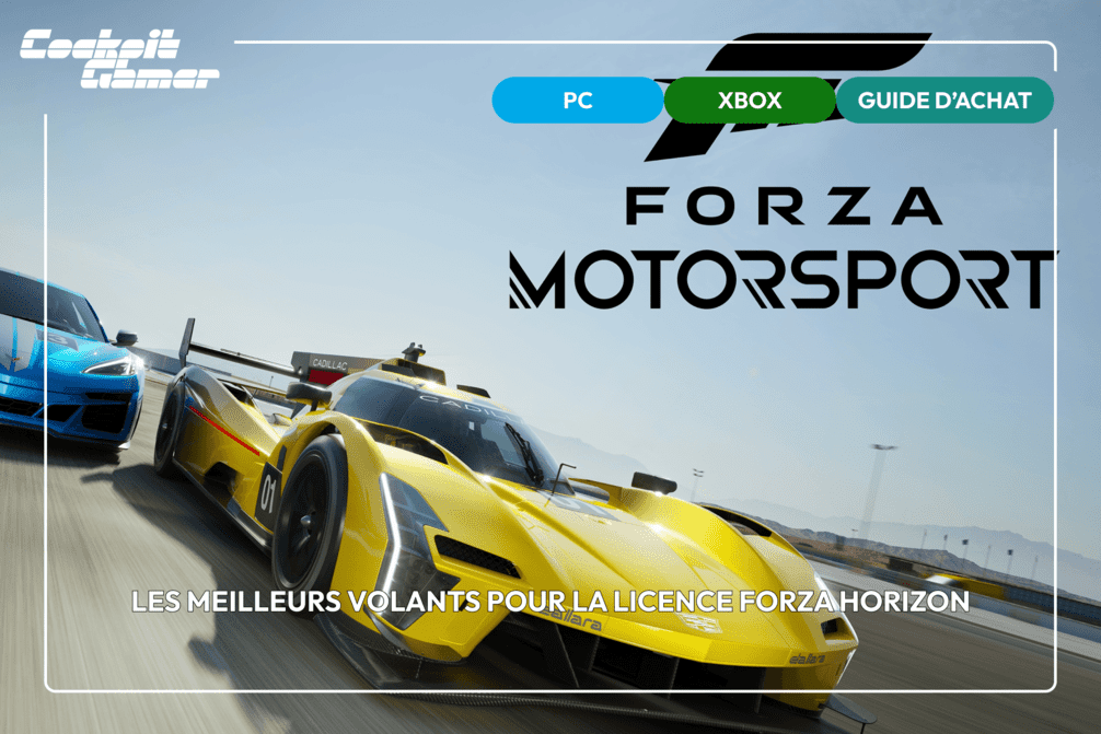 Les meilleurs volants pour la licence Forza Horizon